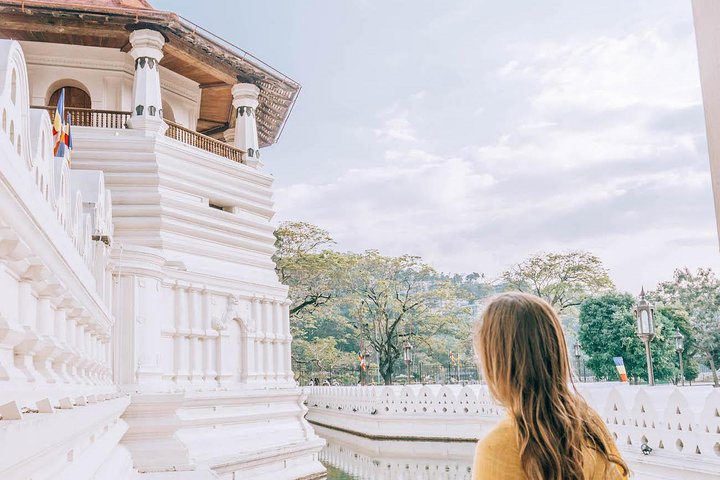 Private Day Tour to Explore Kandy from Colombo Harbor - Photo 1 of 7
